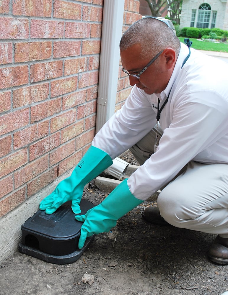 Photo of Chem-Free Organic Pest & Lawn Services