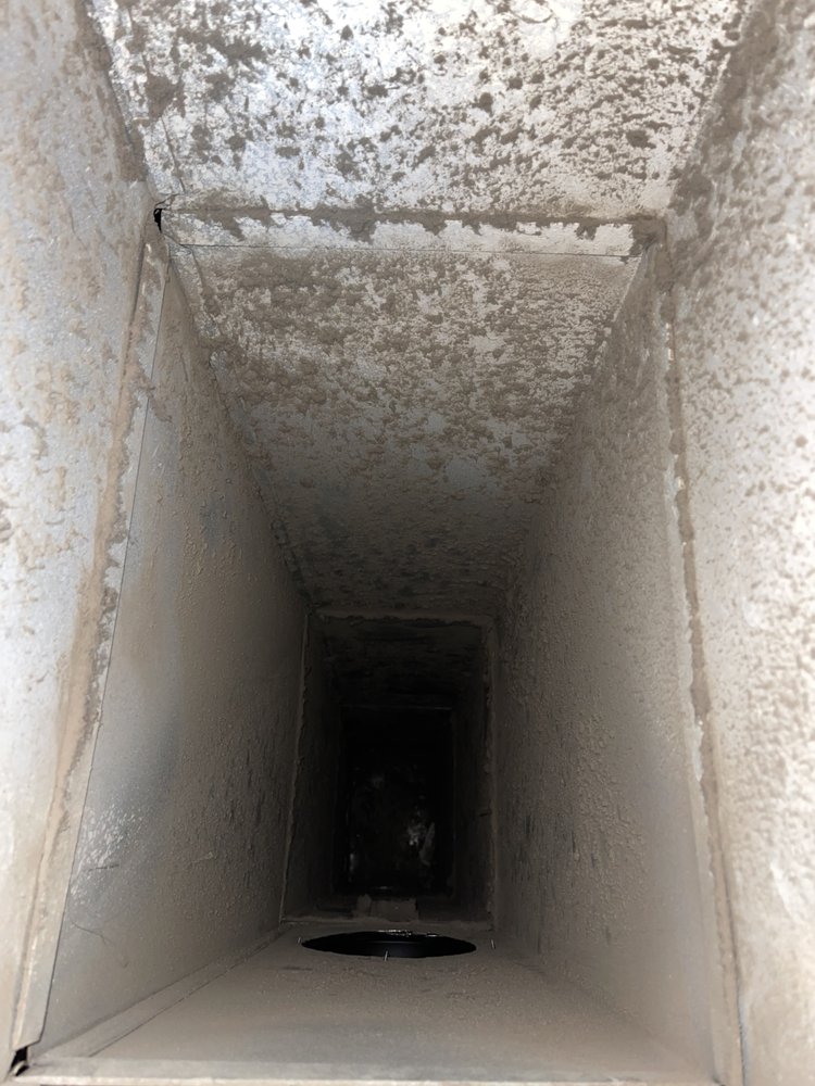 Photo of Lucky Duct