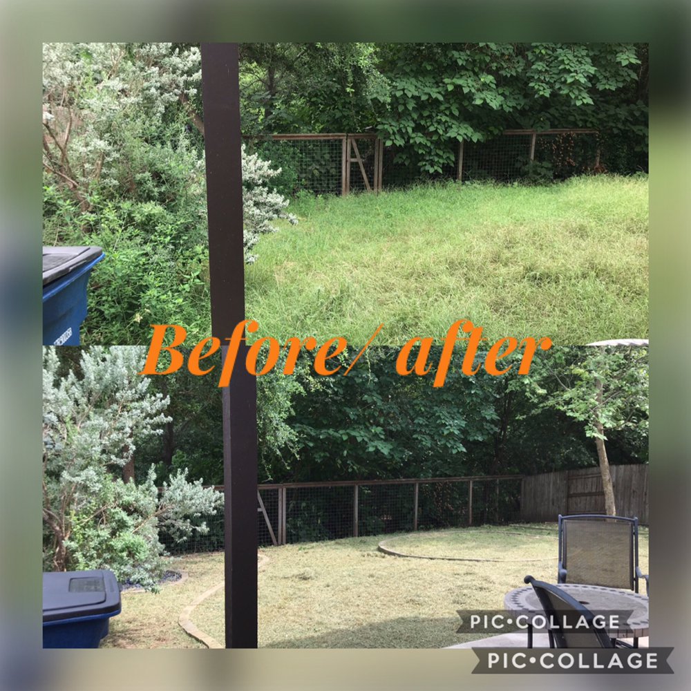 Photo of Bello's Lawn & Tree Service