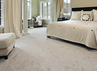 Photo of Steamline Carpet Cleaner