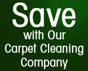 Photo of Steamline Carpet Cleaner