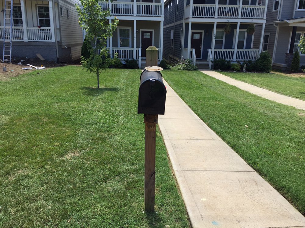Photo of Ray's Reliable Lawn Services