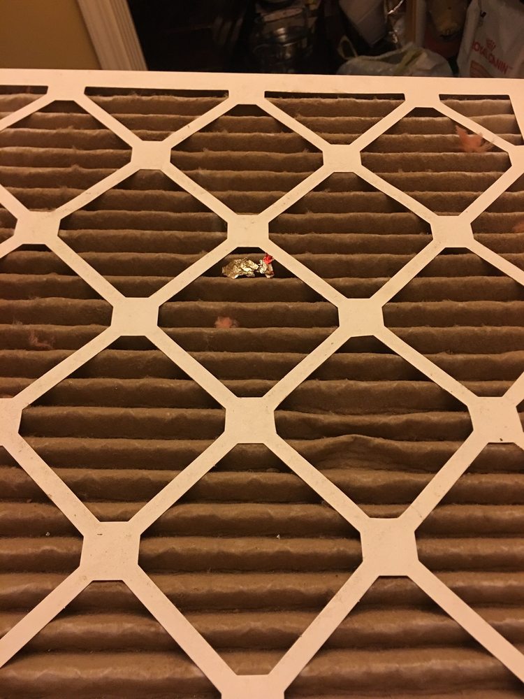 Photo of Puroclean Of Southern Indiana