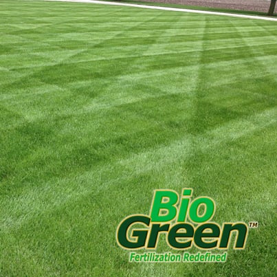 Photo of Bio Green