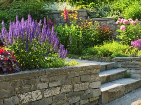 Photo of Xscapes Irrigation and Landscapes