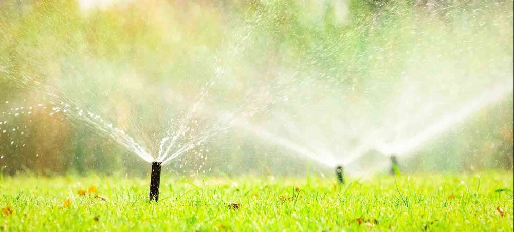 Photo of Xscapes Irrigation and Landscapes