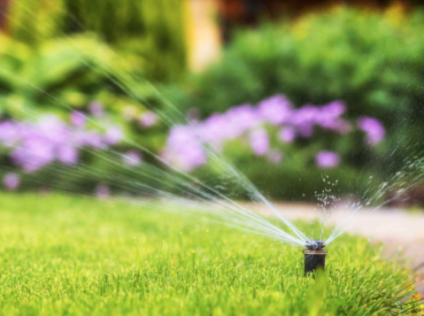 Photo of Xscapes Irrigation and Landscapes