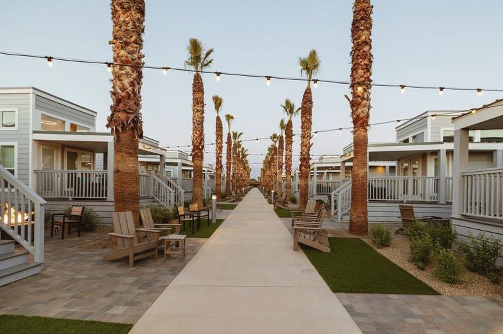 Photo of SYNLawn San Diego