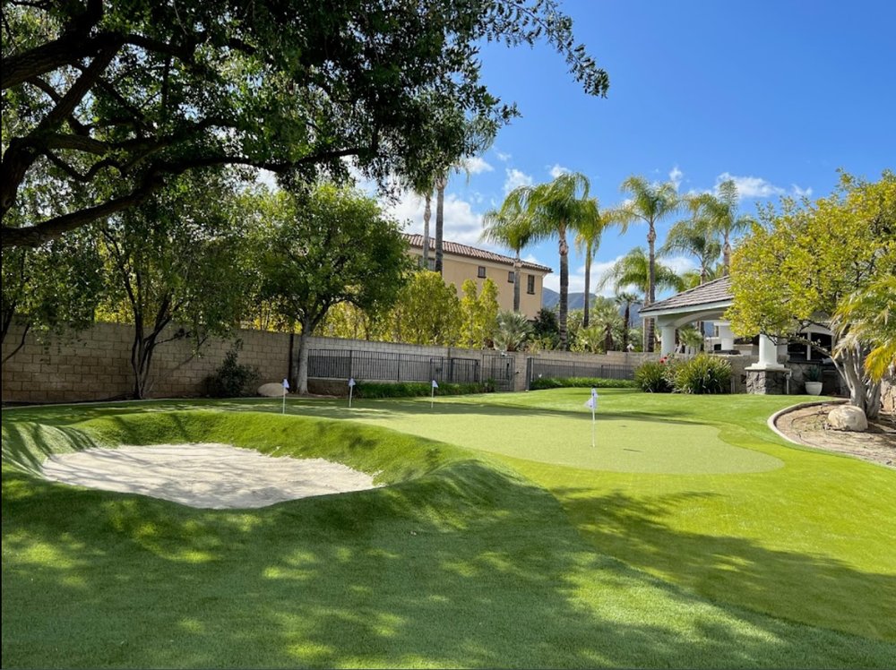 Photo of SYNLawn San Diego