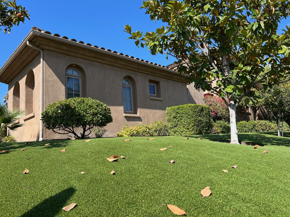 Photo of SYNLawn San Diego