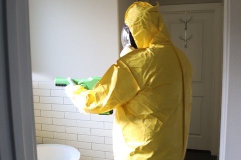 Photo of Quick Disinfecting Force