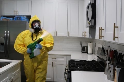 Photo of Quick Disinfecting Force