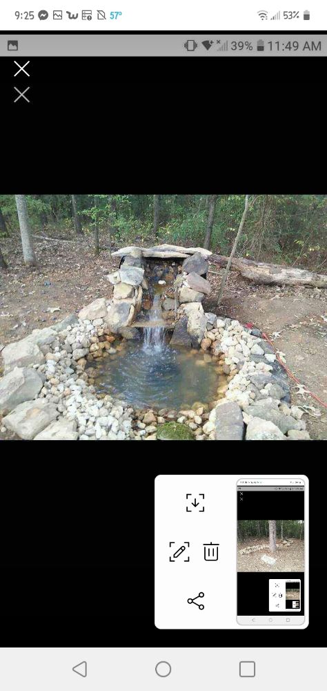 Photo of Earthly Creations And Water Wonders