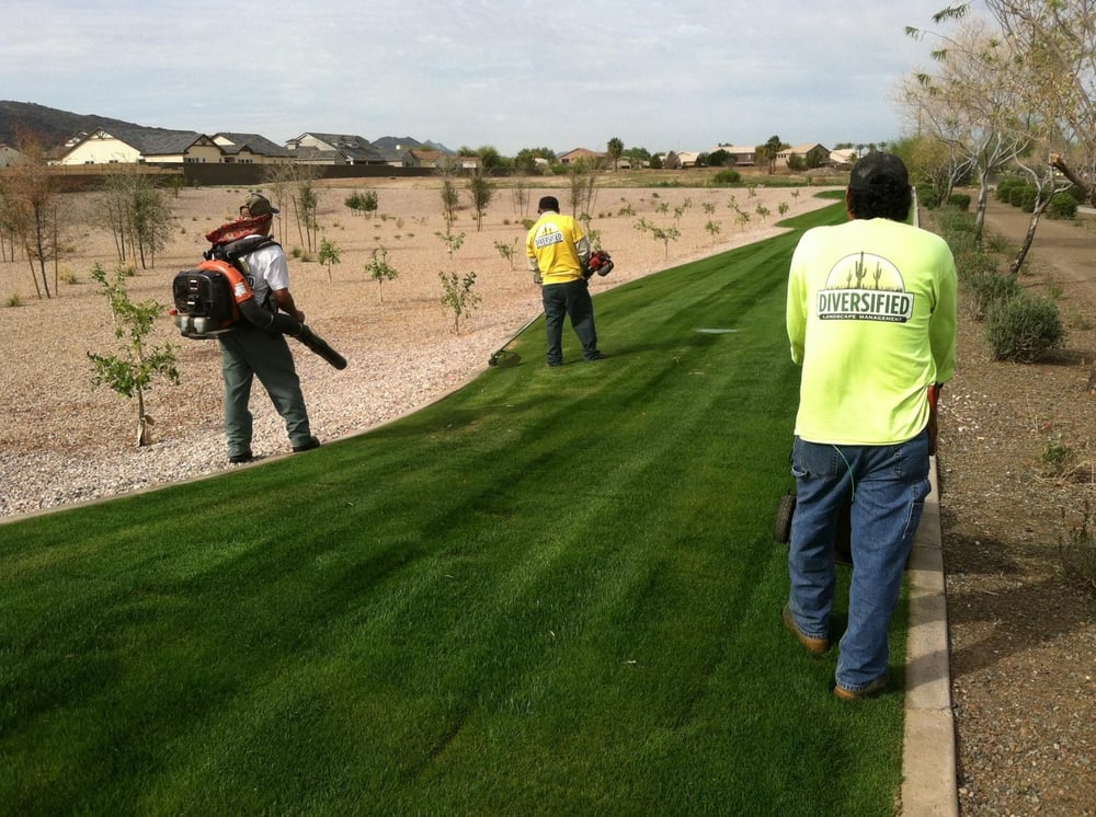 Photo of Diversified Landscape Management, LLC