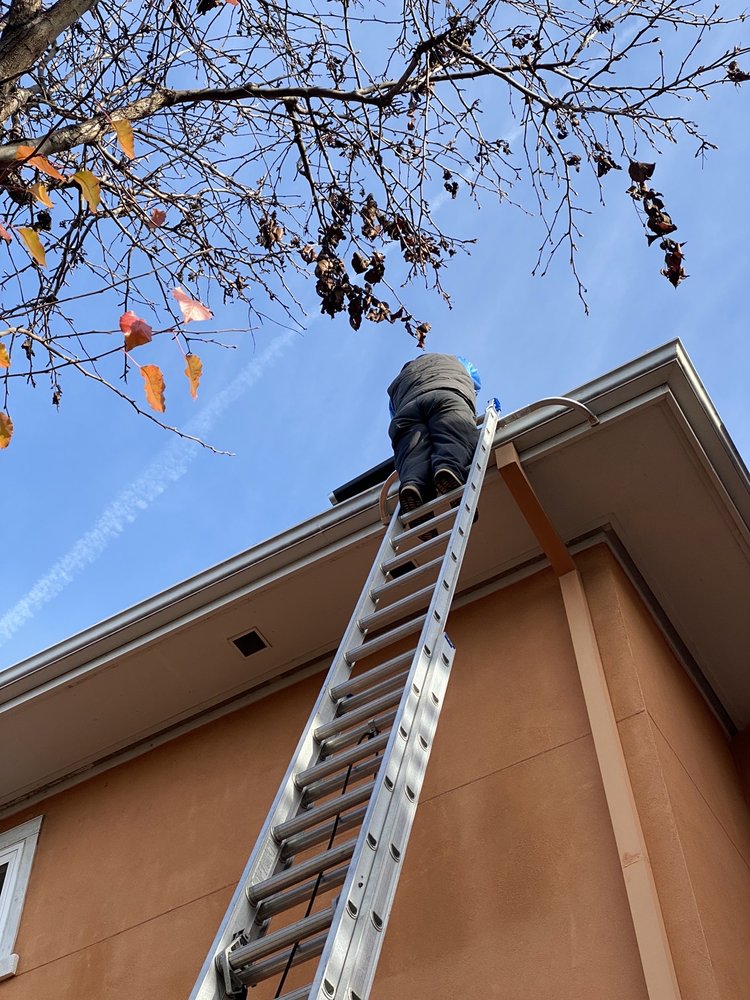 Photo of Professional Window Cleaning