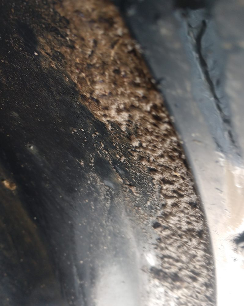 Photo of Tidal Wave Auto Spa - Elizabeth City