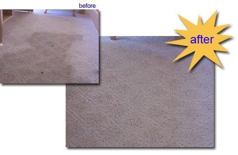 Photo of Supreme Carpet Care