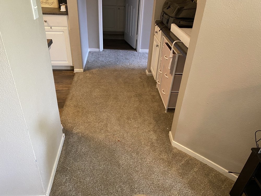 Photo of Allstar Carpet Cleaning