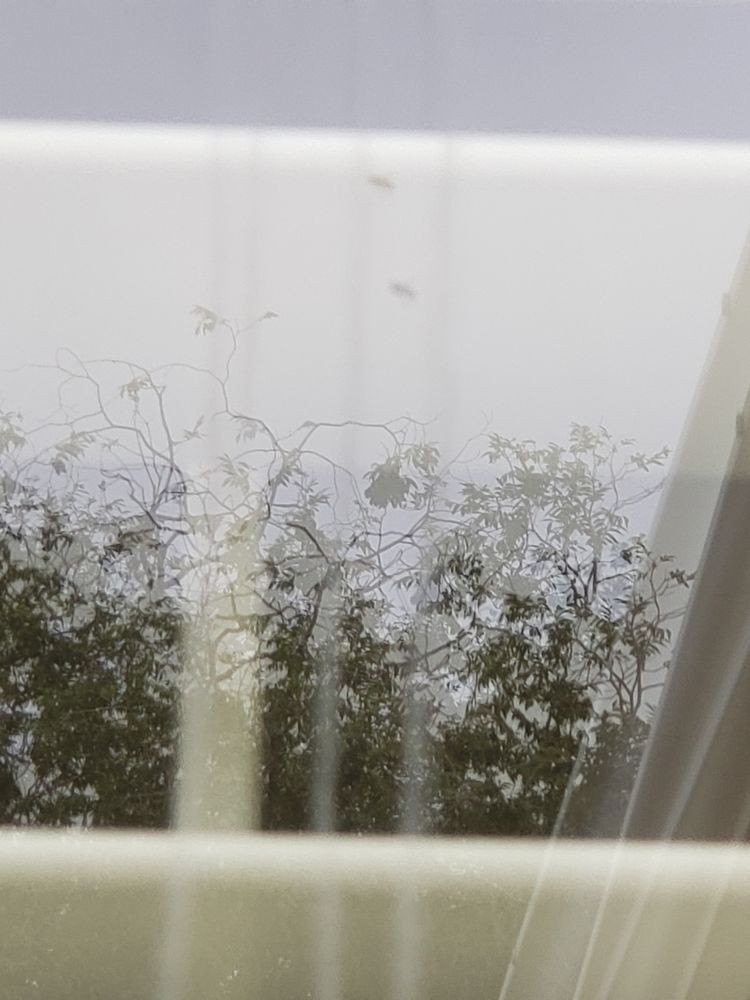 Photo of My Window Man