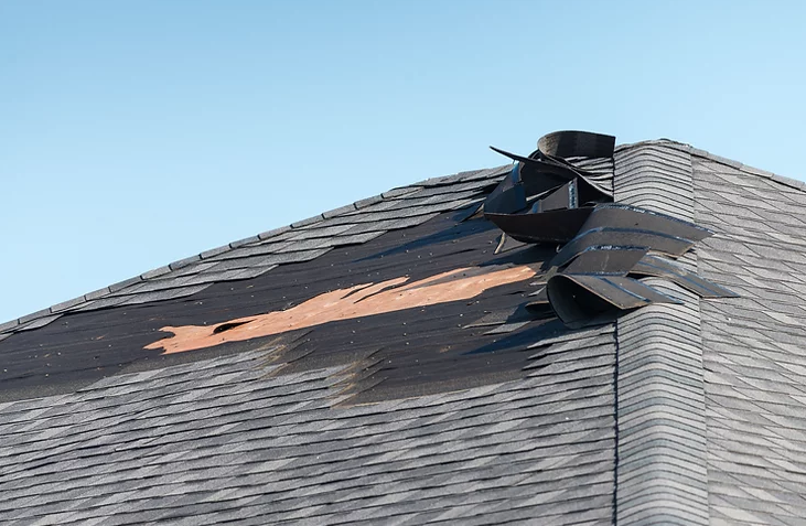 Photo of Big Bear Roofing