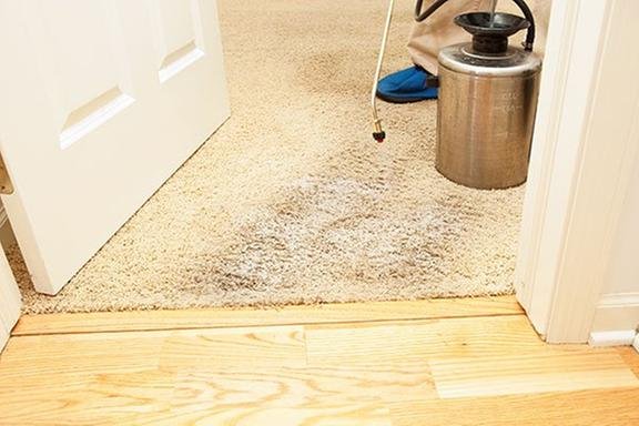 Photo of AAA Carpet Care
