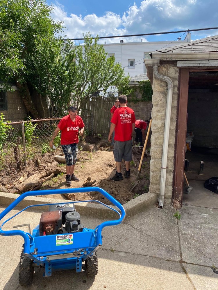 Photo of Woody Woodpecker Tree Service