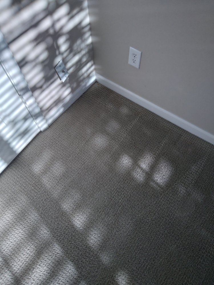 Photo of VLM Carpet Cleaning