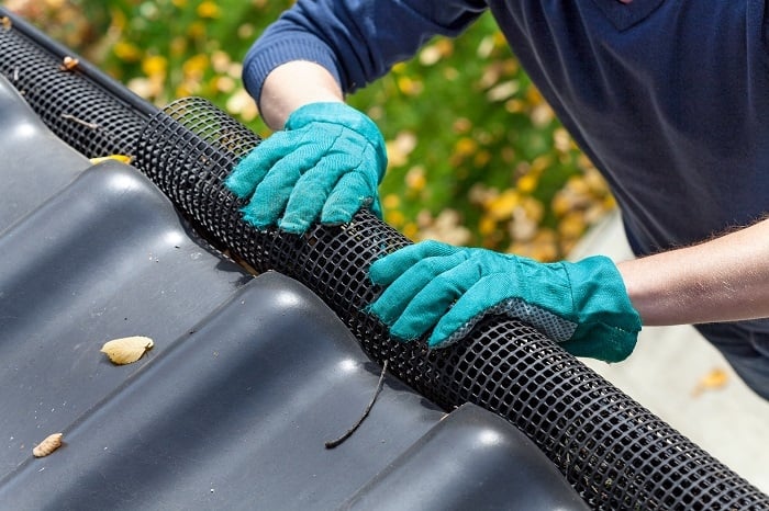 Photo of Russell's Gutter