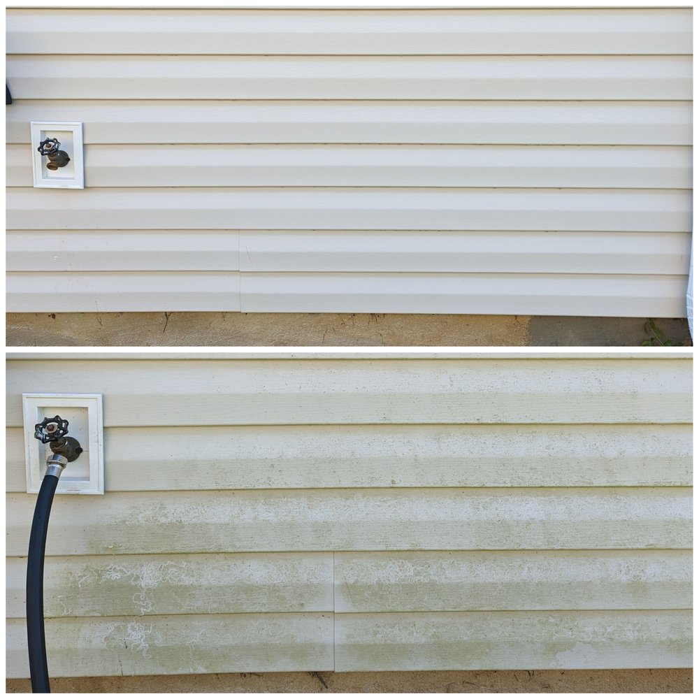 Photo of Summerville Shine
