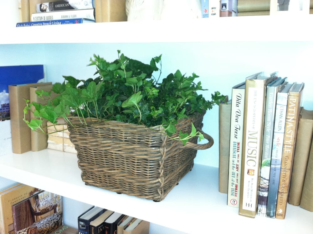 Photo of Growing Roots La Jolla