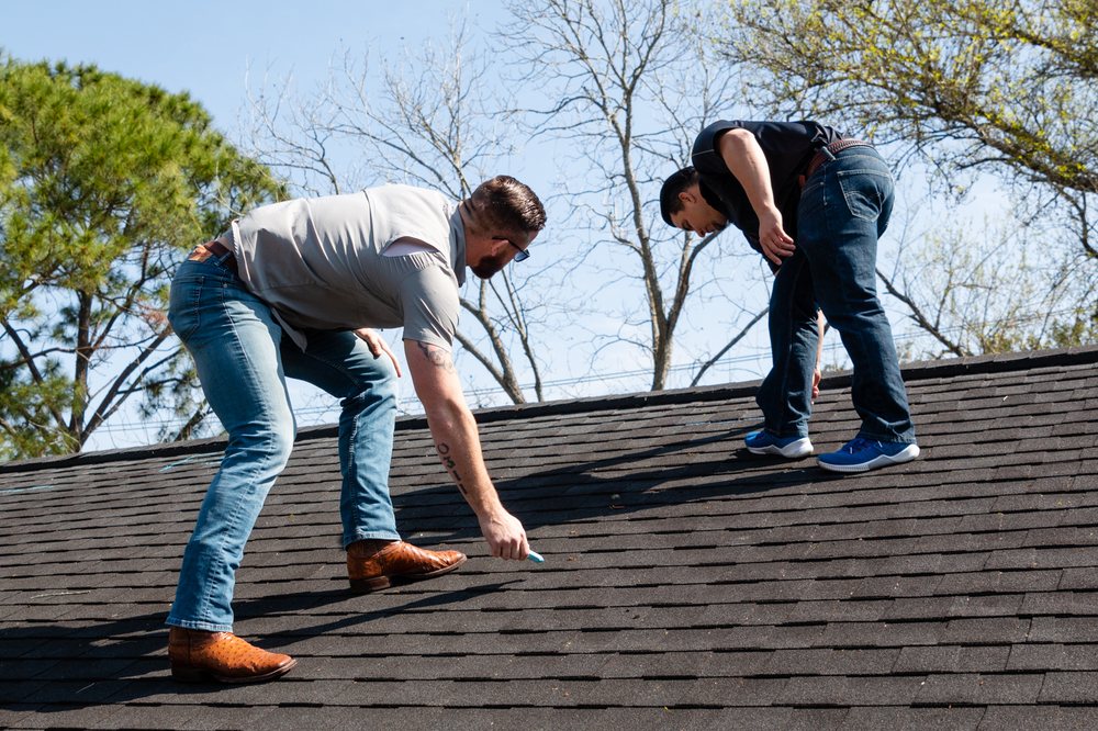 Photo of Alpha Elite Roofing
