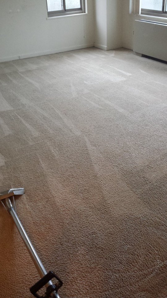 Photo of Great Carpet Cleaning