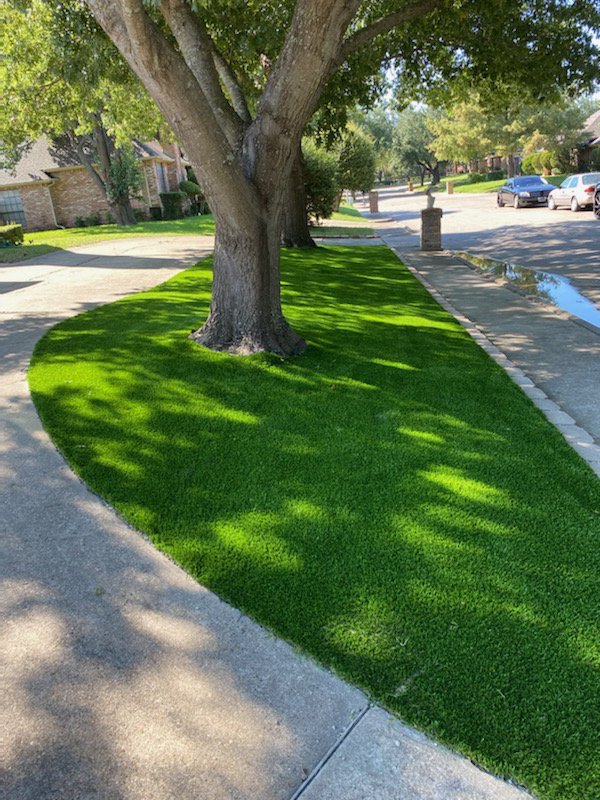 Photo of Zapgrass
