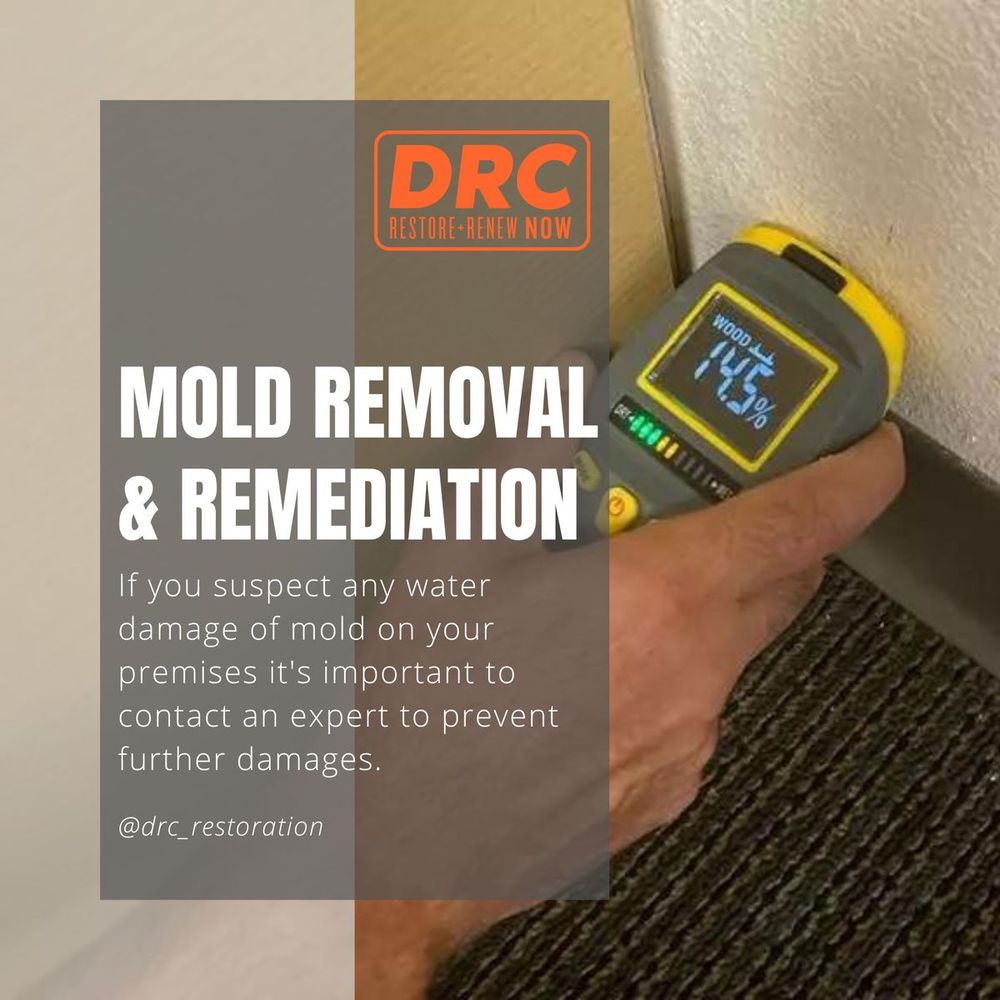 Photo of DRC Restoration