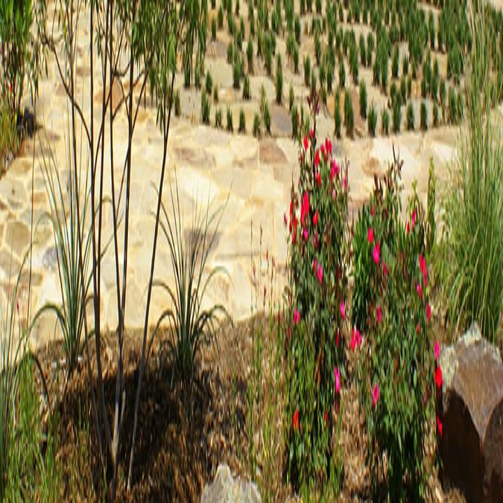 Photo of Southern Services Landscape & Irrigation