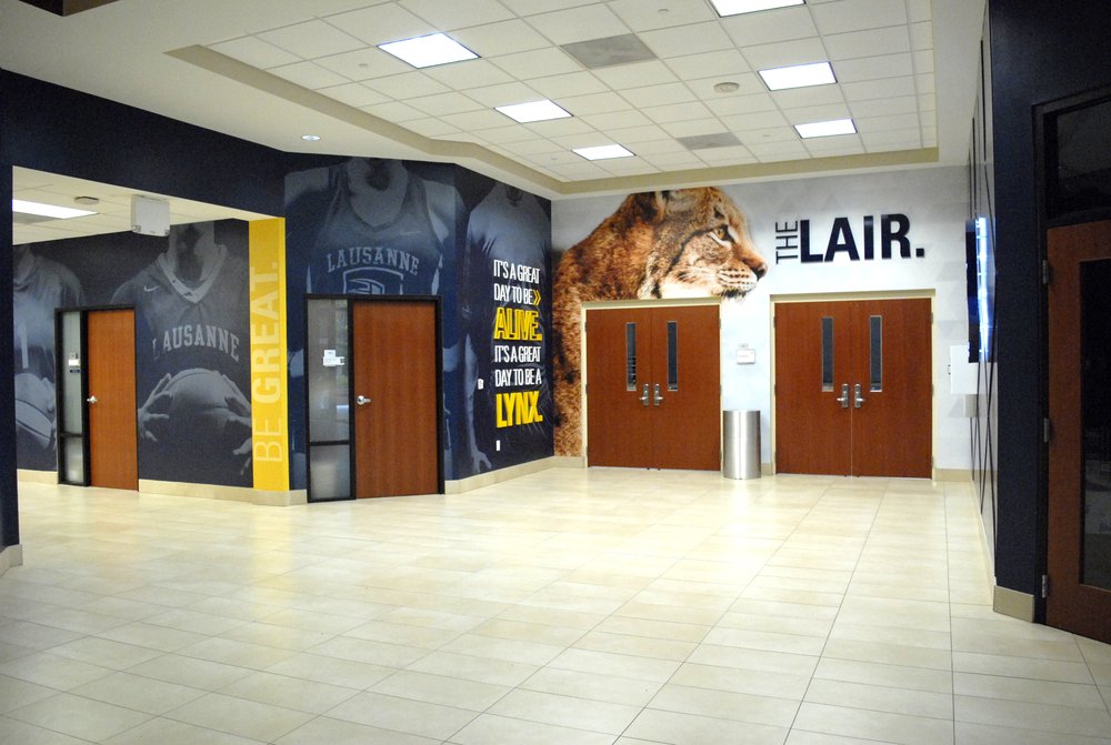 Photo of LSI Graphics