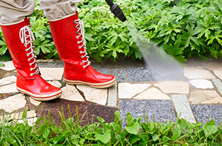 Photo of Discount Home and Commercial Services