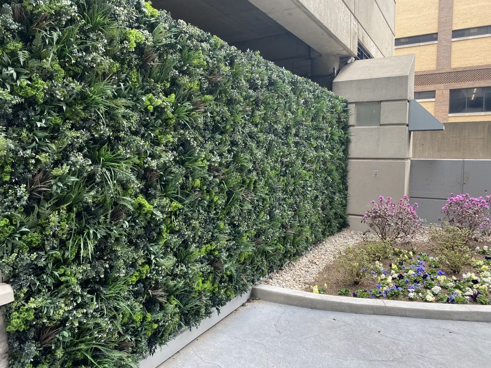 Photo of SYNLawn Kentucky