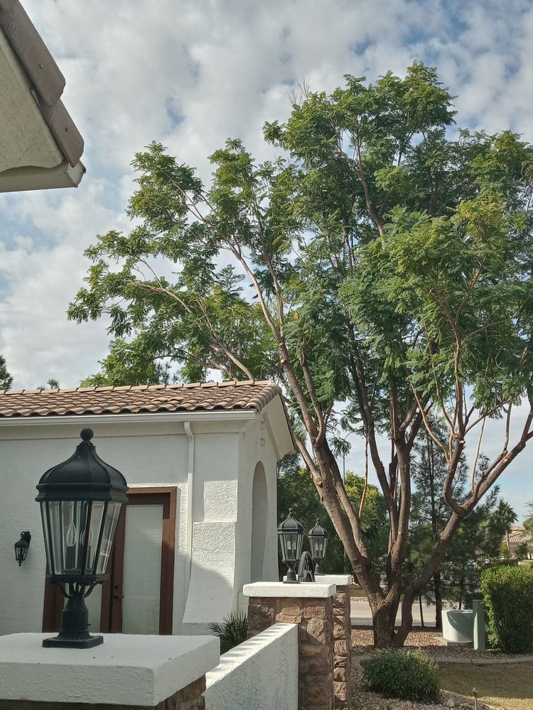 Photo of American Tree Trimmers