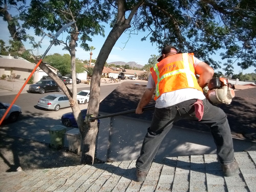 Photo of American Tree Trimmers