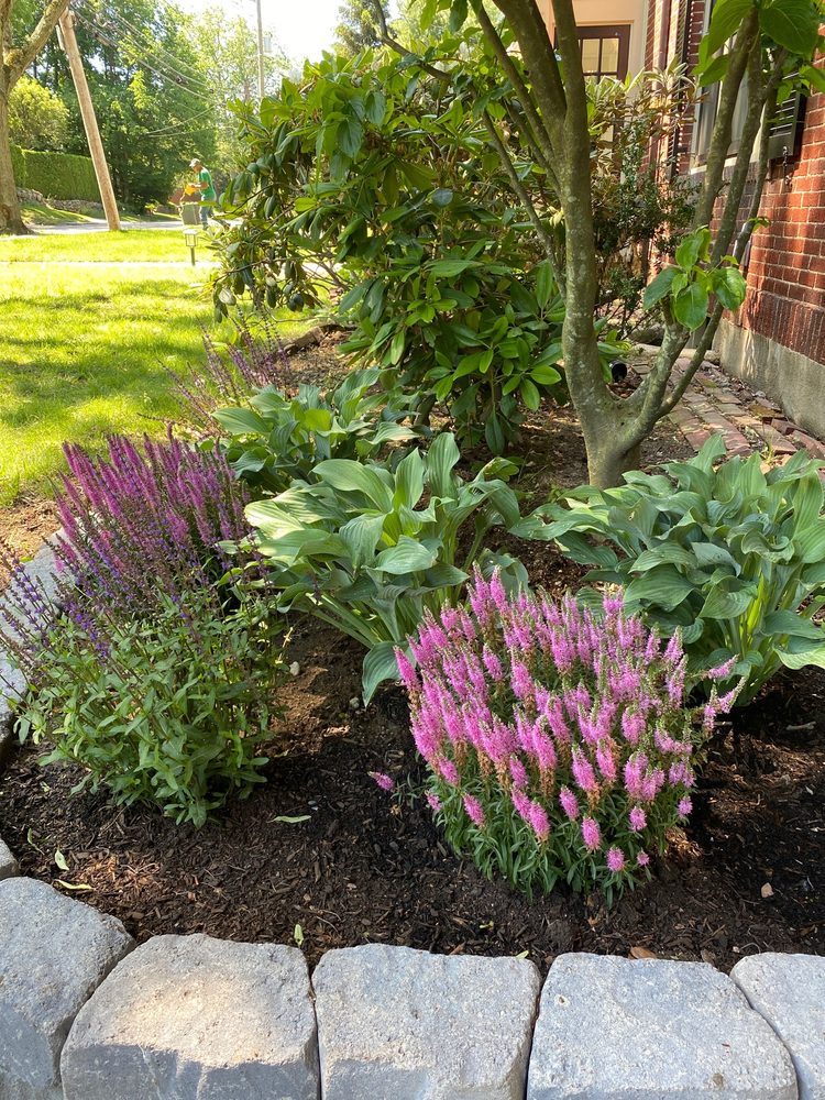 Photo of Joshua Landscaping