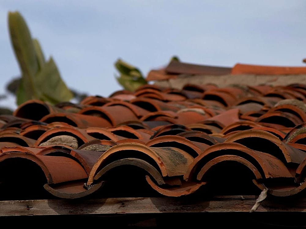 Photo of JSD Sanchez Roofing