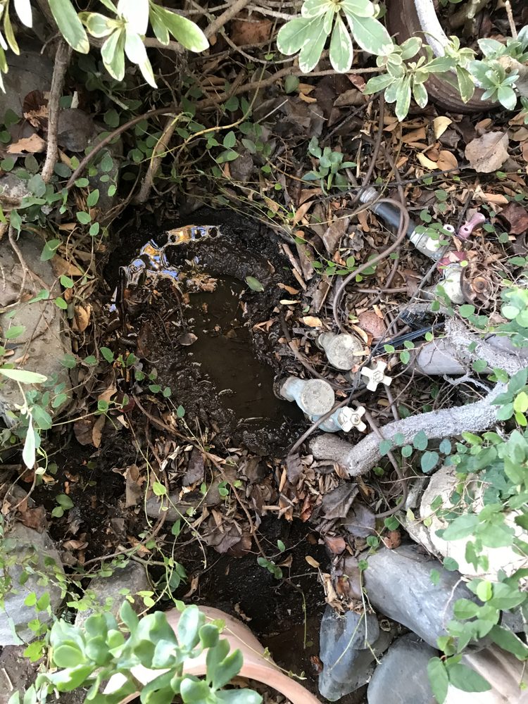Photo of Mudd Landscapes