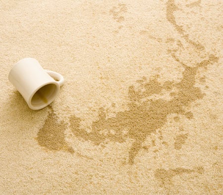 Photo of Eco Friendly Services
