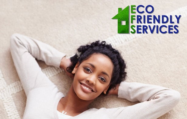 Photo of Eco Friendly Services