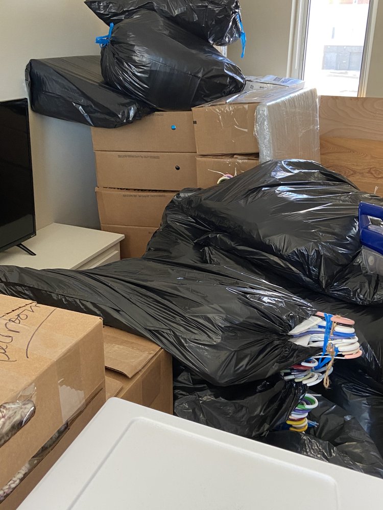 Photo of Yaady trim junk removal