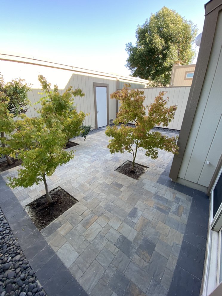 Photo of New Earth Landscaping