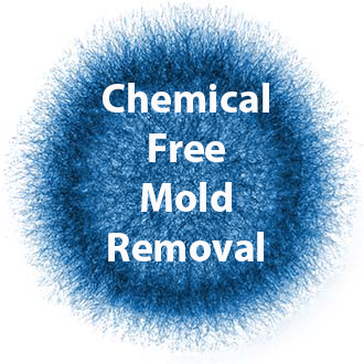 Photo of Breathe Easy Mold Remediation