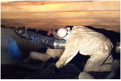 Photo of Breathe Easy Mold Remediation