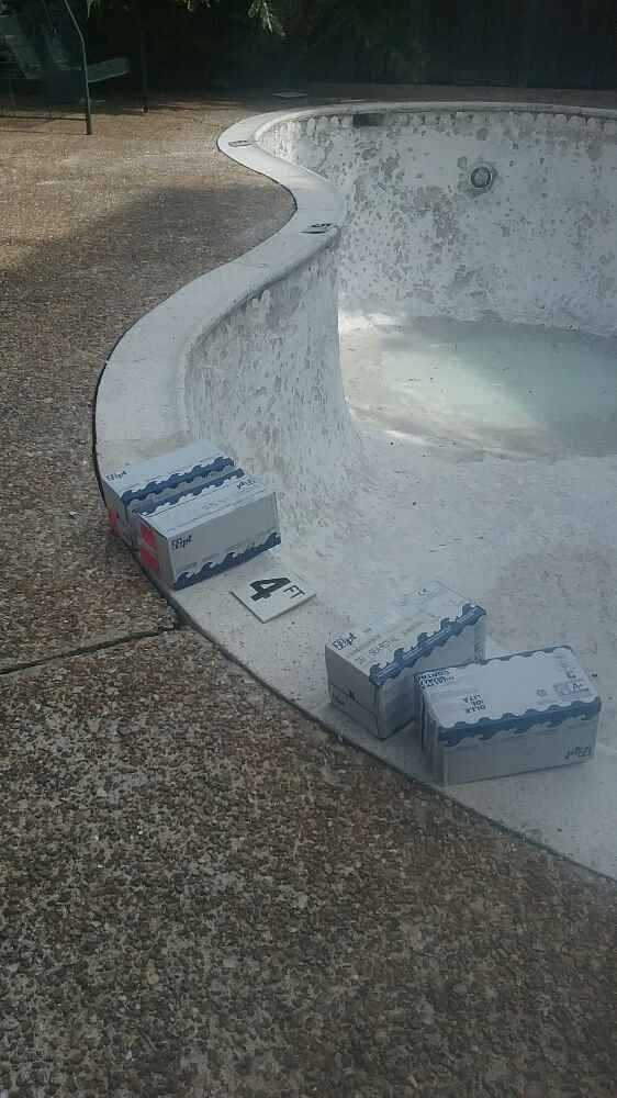 Photo of Penguin Pool Services